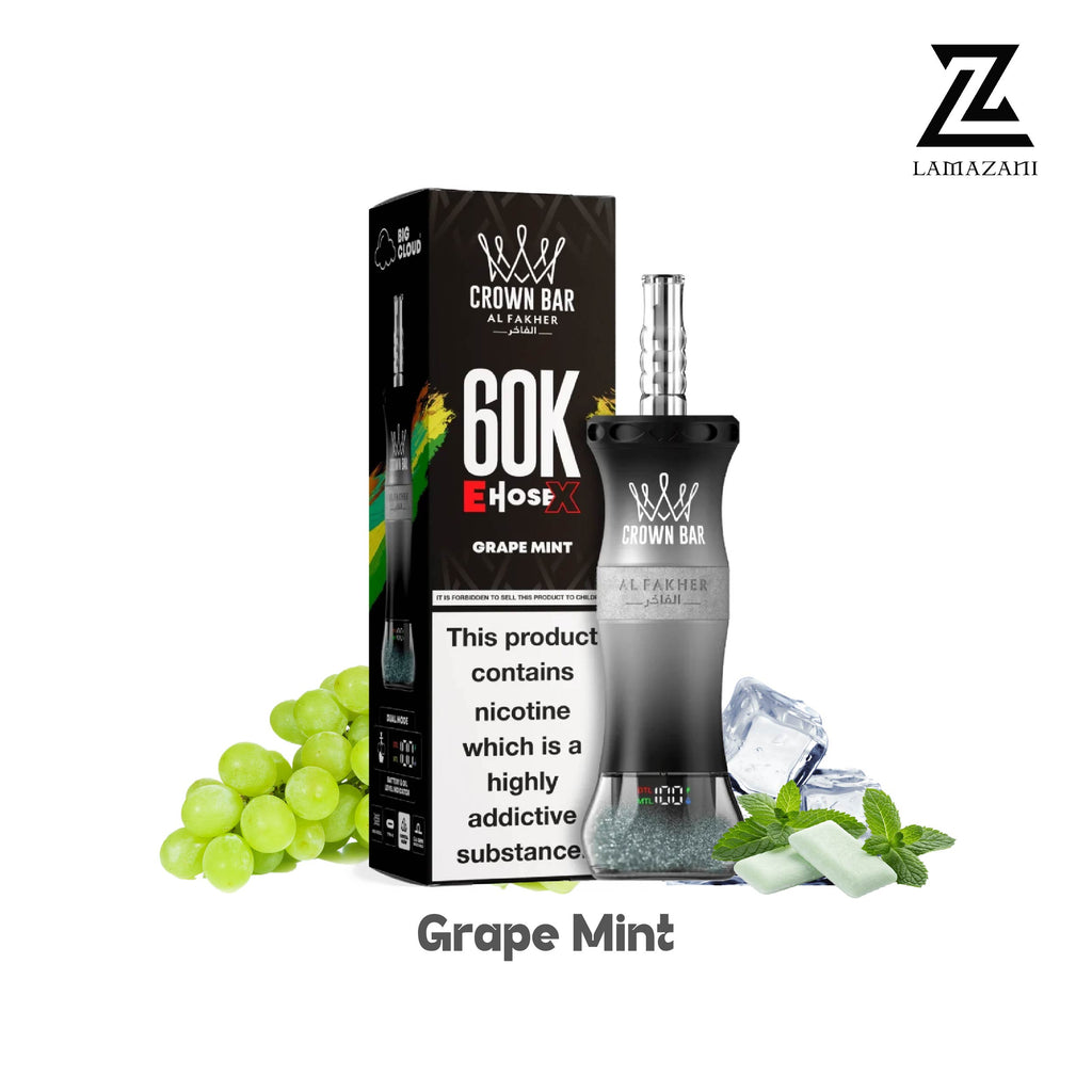 Alfakher 60k grape mint disposable vape in uae