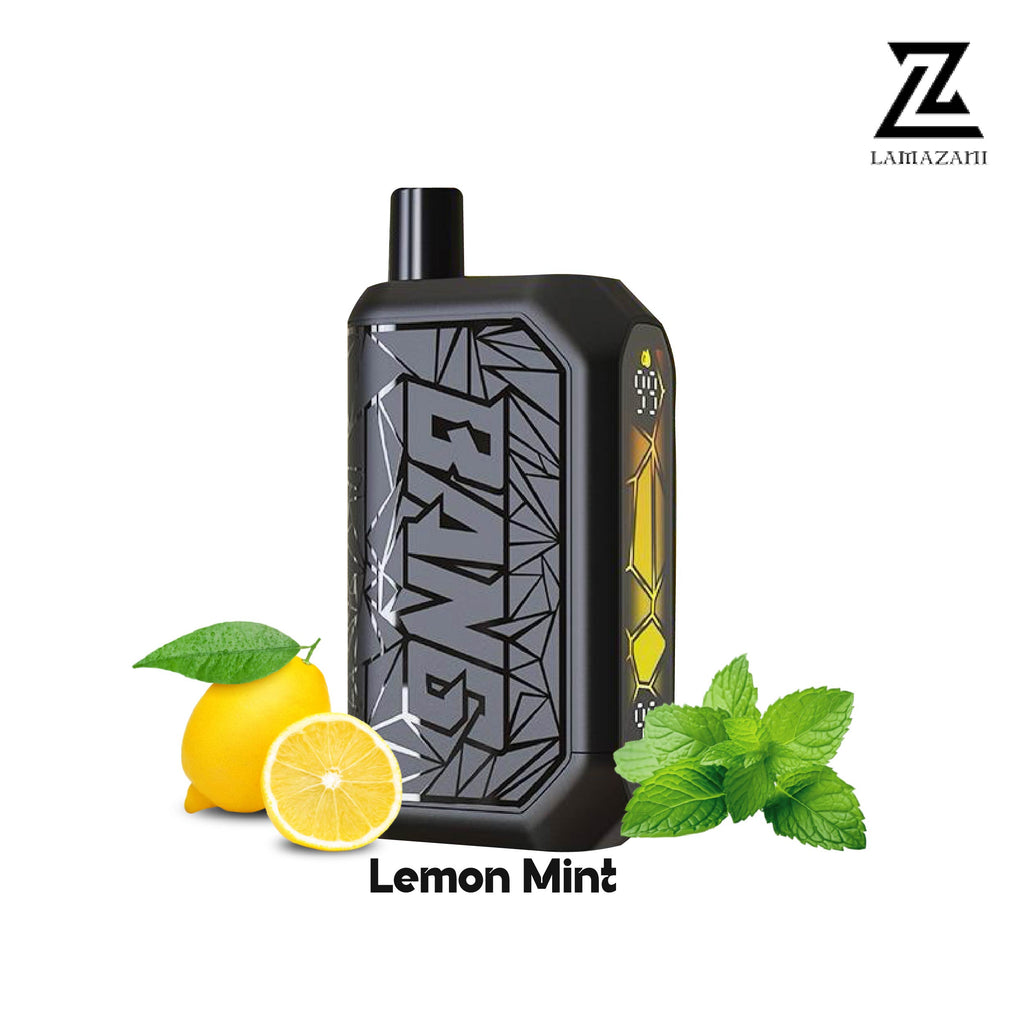 Beco mesh 18000 puff lemon mint disposable vape