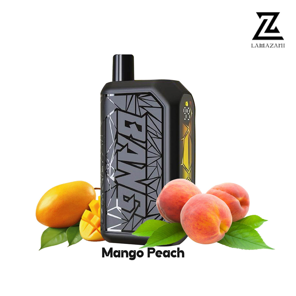Beco mesh 18000 puff mango peach disposable vape