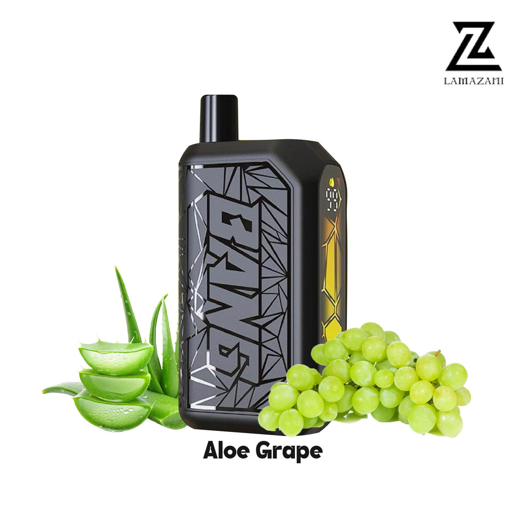 Beco shisha 18000 puff aloe grape disposable vape