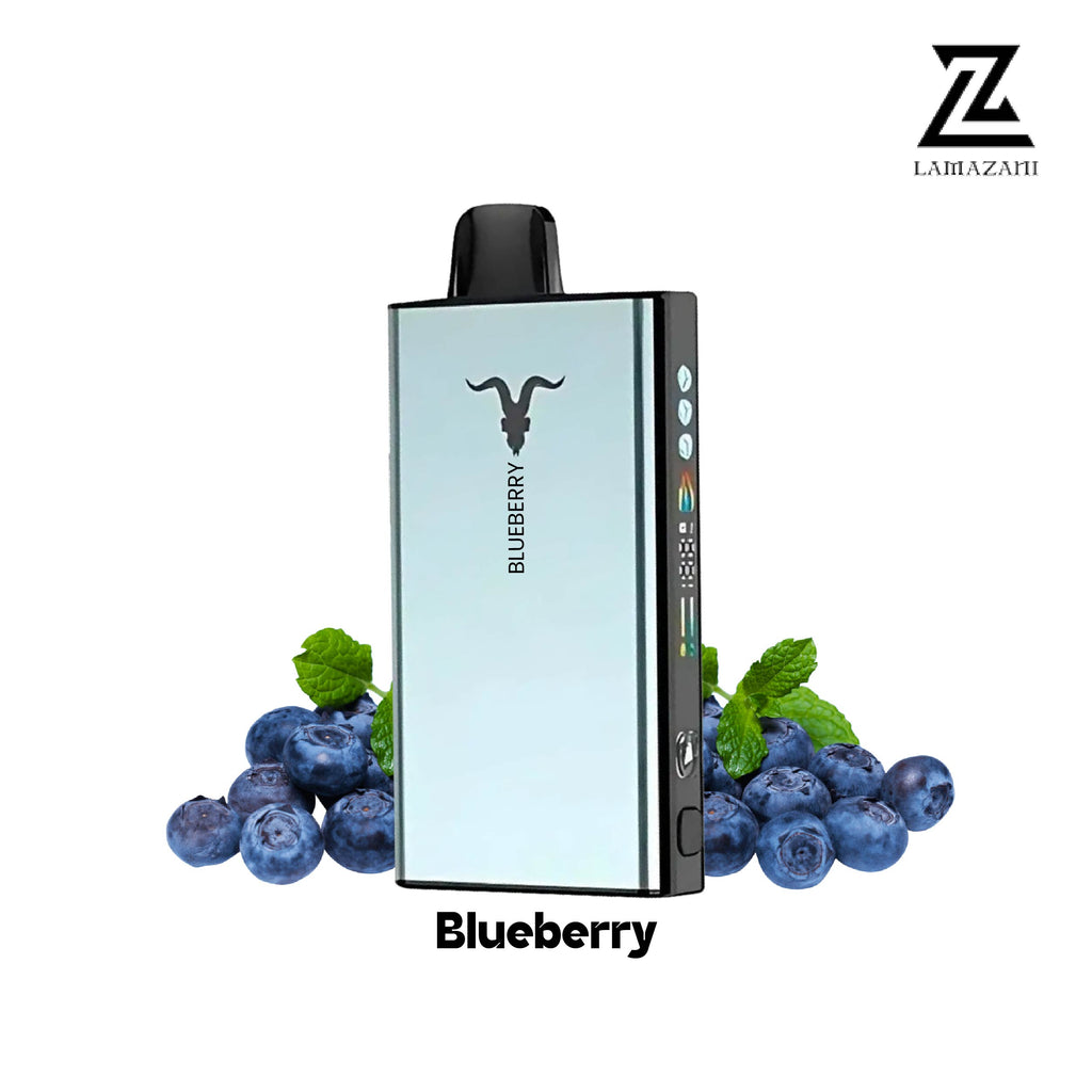 Ignite blueberry disposable vape