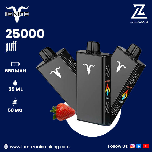 IGNITE - V250 Rechargeable Disposable Vape (25000 Puffs)
