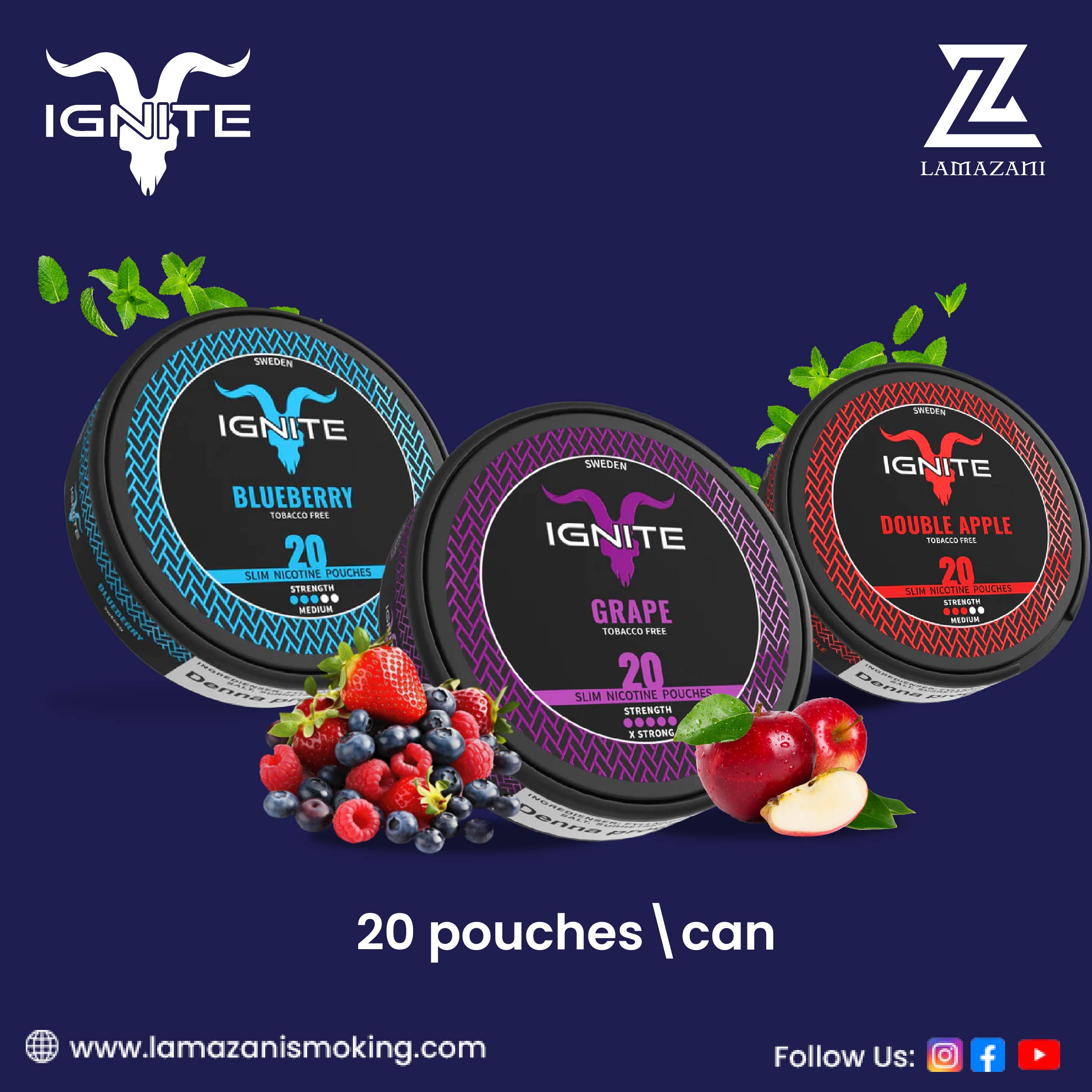 IGNITE Nicotine Pouches Flavors - Lamazani
