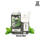 PYNE POD rechargeable vape sweet mint